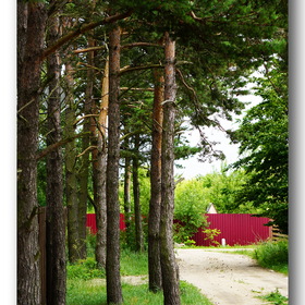 Nature Photo. Балтийский берег.