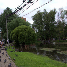 мой город