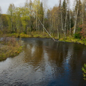 Случайные фотографии. Фотографии из поездки