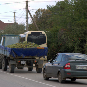 Урожай 2015