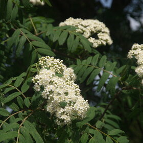 Лучшие фото. ПРИРОДА (0)