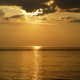 природа фотосъёмка    Балтийское море.