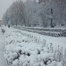 Мой город