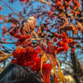 Лучшие фото. ПРИРОДА (0)