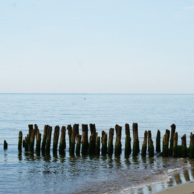 Nature Photo. Балтийский берег.