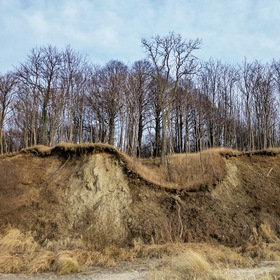 Природа, фотосъемка. Балтийский берег.