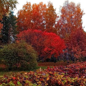 Лучшие фото. ПРИРОДА (0)