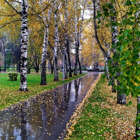 Лучшие фото. ПРИРОДА (0)