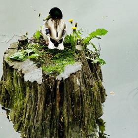 Photo Nature.