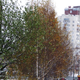 Мой город