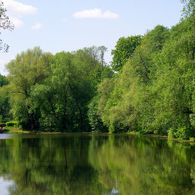 Лучшие фото. Щучий пруд (0)