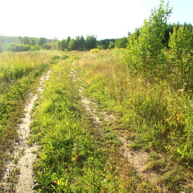 Дорога в перелесках