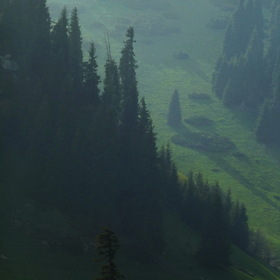 Природа, фотосъемка.
