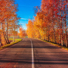 Золотая осень