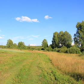 Летний пейзаж