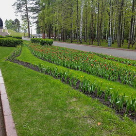 Лучшие фото. ПРИРОДА (0)