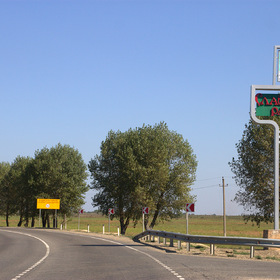 По дороге домой