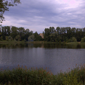 Мой любимый город