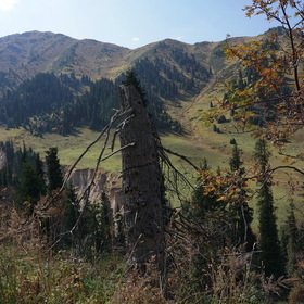 Фотографии из поездки Чимбулак.