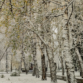 Лучшие фото. Природа (0)