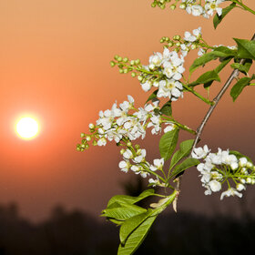 Лучшие фото. ПРИРОДА (0)