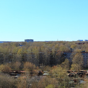 Явление весны