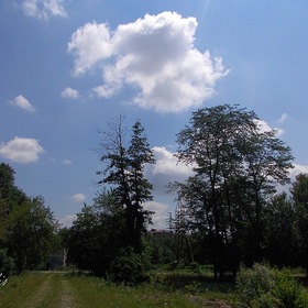 summertime