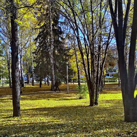 Лучшие фото. Природа (0)