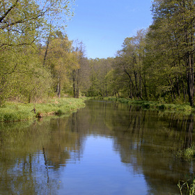 Пехорка в Кучино