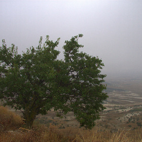 на краю
