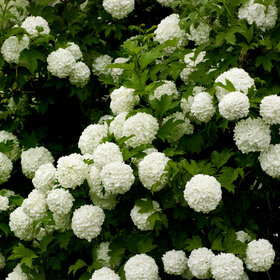 Лучшие фото. ПРИРОДА (0)