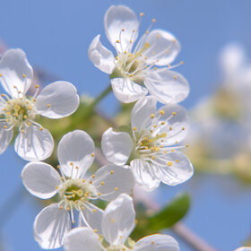 Лучшие фото. ПРИРОДА (0)