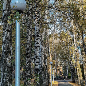 Лучшие фото. ПРИРОДА (0)