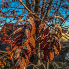 Лучшие фото. Природа (0)