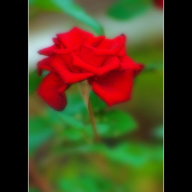 Природа