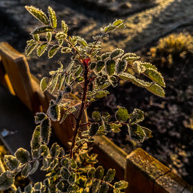 Лучшие фото. Природа (0)