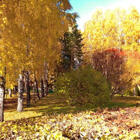 Лучшие фото. ПРИРОДА (0)