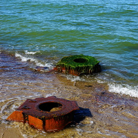 Nature Photo. Балтийский берег.