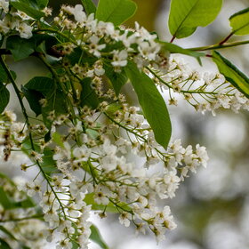 Лучшие фото. ПРИРОДА (0)