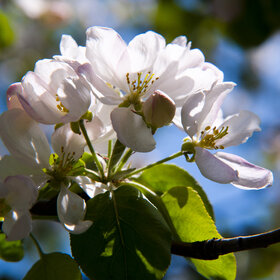 Лучшие фото. ПРИРОДА (0)