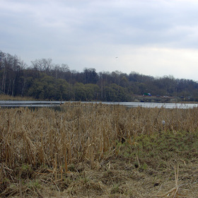 Пехорка апрель