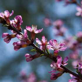 Лучшие фото. ПРИРОДА (0)