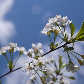 Лучшие фото. ПРИРОДА (0)