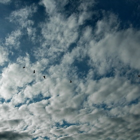 Природа.