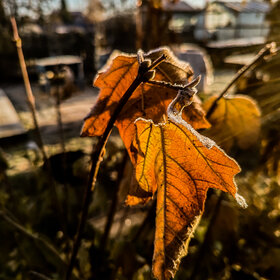 Лучшие фото. ПРИРОДА (0)