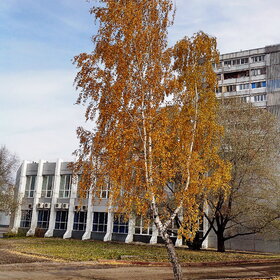 Лучшие фото. ПРИРОДА (0)