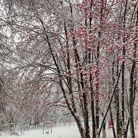 Фотографии моего города