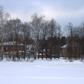 Салтыковка, пруд
