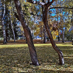 Лучшие фото. ПРИРОДА (0)