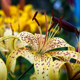 Случайные фотографии. Фотографии природы